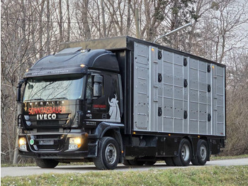 Camion bétaillère IVECO Stralis