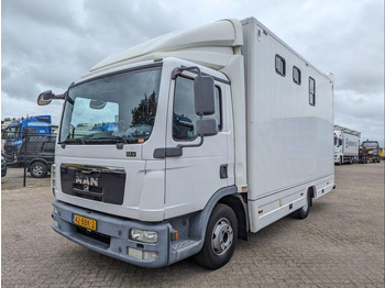 Camion chevaux MAN TGL 12.250