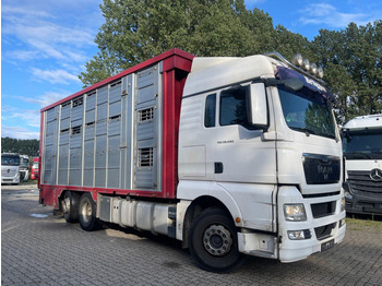 Camion bétaillère MAN TGX 26.400