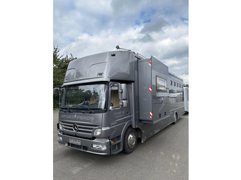 Camion chevaux MERCEDES-BENZ Atego