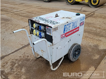 Groupe électrogène Stephill SE6000D4: photos 5