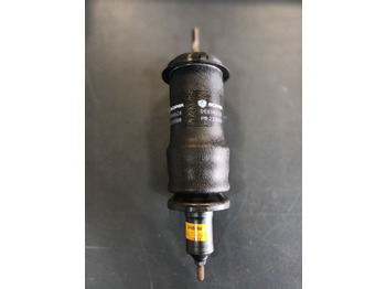 Suspension SCANIA