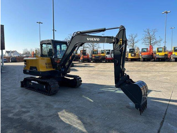 Pelle sur chenille Volvo EC55D: photos 3