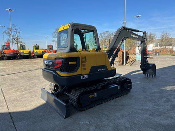 Pelle sur chenille Volvo EC55D: photos 4