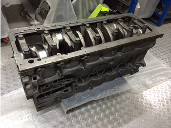 Carter pour Camion KIT BASAMENTO + ALBERO MOTORE MAN D2676: photos 3