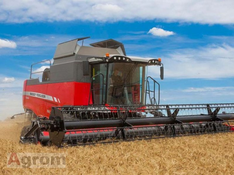 Massey Ferguson 7360 Beta ParaLevel - Moissonneuse-batteuse: photos 1 Massey Ferguson 7360 Beta ParaLevel - Moissonneuse-batteuse: photos 1