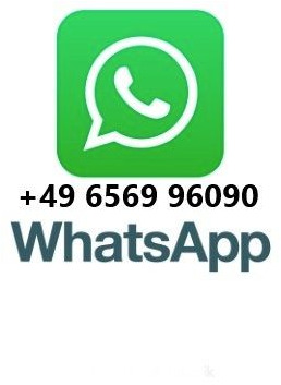 MAN TGS 18.320 4x4 Winterdienst Wechselsystem Unfall - Châssis cabine: photos 2 MAN TGS 18.320 4x4 Winterdienst Wechselsystem Unfall - Châssis cabine: photos 2