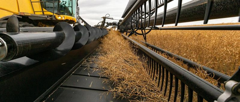 Moissoneuse neuf Honey Bee AirFLEX NXT AFN245: photos 11 Moissoneuse neuf Honey Bee AirFLEX NXT AFN245: photos 11