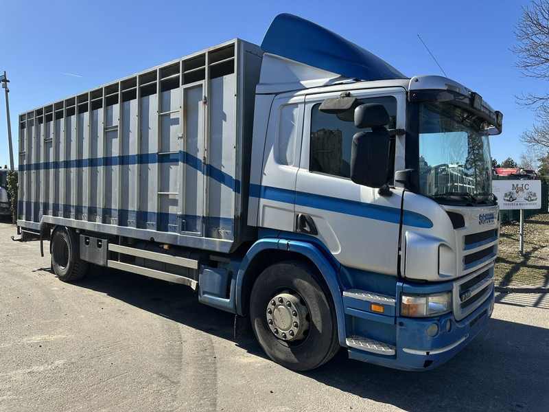 Scania P310 4x2 ANIMAL TRANSPORT - ALU BOX 7m - MANUAL - AIR SUSPENSION - A/C - BELGIAN TRUCK - Camion bétaillère: photos 1 Scania P310 4x2 ANIMAL TRANSPORT - ALU BOX 7m - MANUAL - AIR SUSPENSION - A/C - BELGIAN TRUCK - Camion bétaillère: photos 1