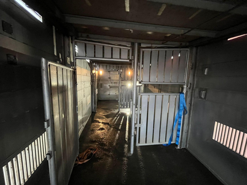 Camion bétaillère Scania R 580 6x2*4 RETARDER / BOX L=8168 mm: photos 12 Camion bétaillère Scania R 580 6x2*4 RETARDER / BOX L=8168 mm: photos 12