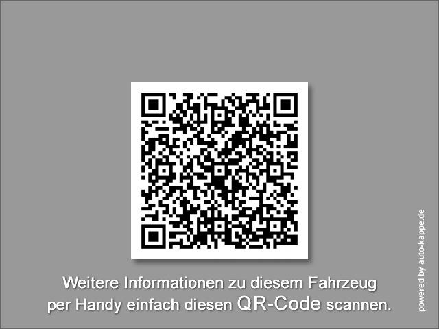 Fourgonnette Ford Custom Kasten L1 Trend KLIMA KAMERA VERKLEIDUNG: photos 22