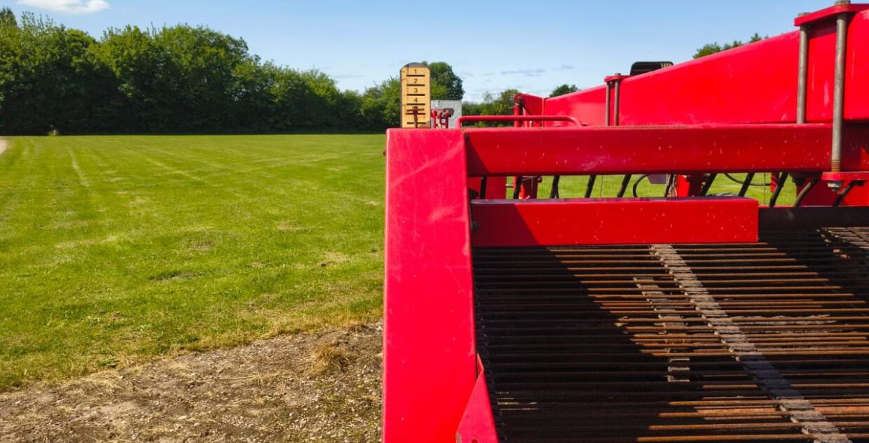 Arracheuse de pommes de terre Grimme RL3000: photos 11