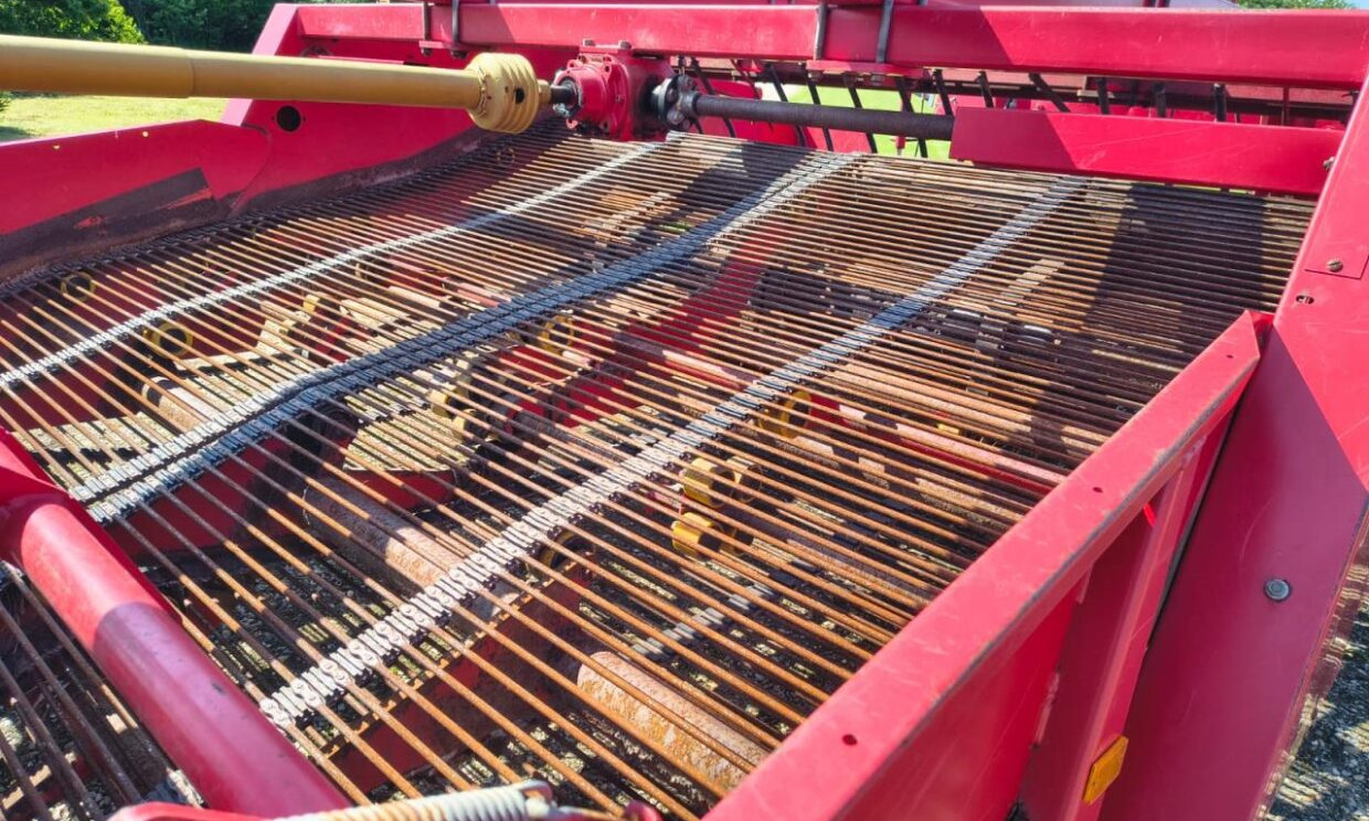 Arracheuse de pommes de terre Grimme RL3000: photos 10