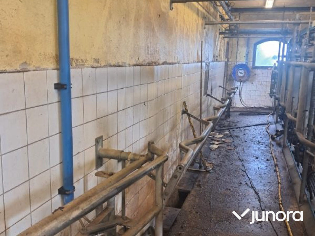 DeLaval 2x6 fiskbensstall - Matériel de traite: photos 4 DeLaval 2x6 fiskbensstall - Matériel de traite: photos 4