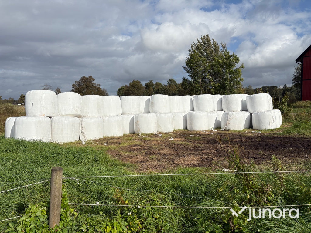 Höensilage 2025 - Matériel d'élevage: photos 4 Höensilage 2025 - Matériel d'élevage: photos 4