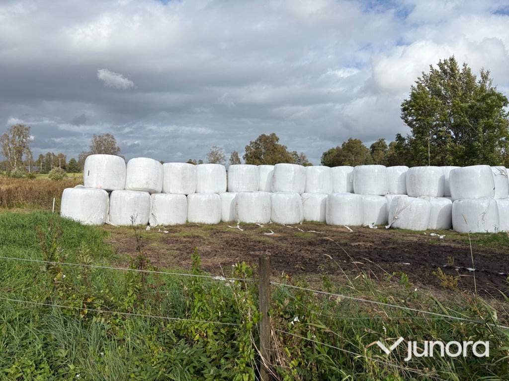 Höensilage 2025 - Matériel d'élevage: photos 5 Höensilage 2025 - Matériel d'élevage: photos 5