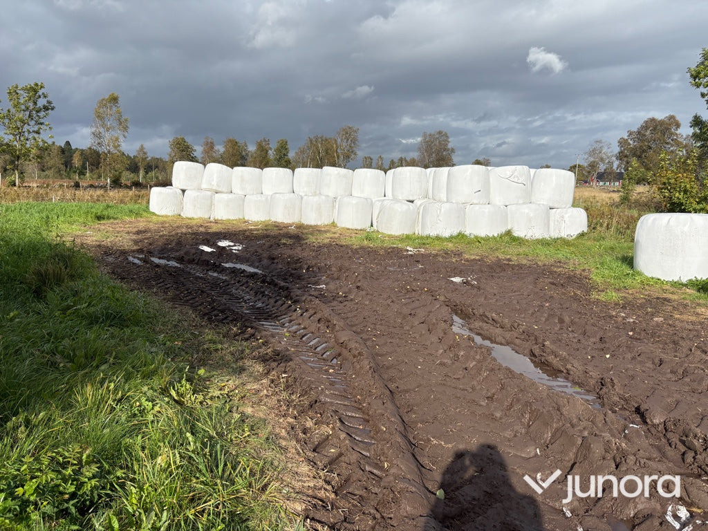 Höensilage 2025 - Matériel d'élevage: photos 2 Höensilage 2025 - Matériel d'élevage: photos 2