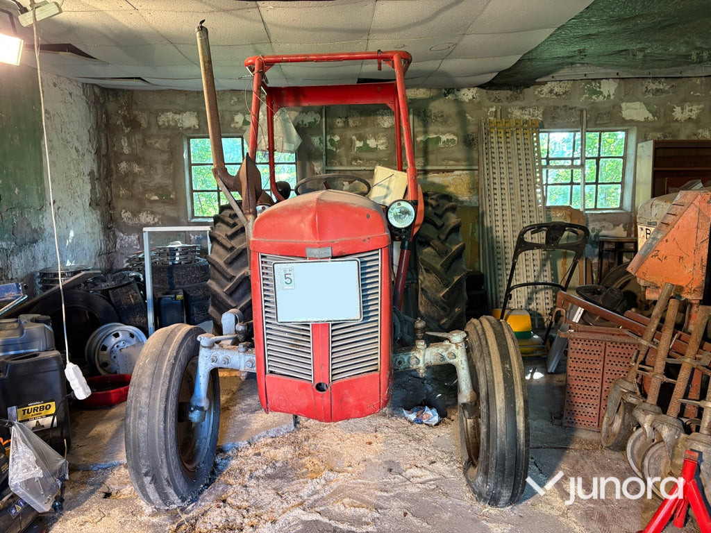 Traktor - Ferguson, Grålle - Tracteur agricole: photos 2 Traktor - Ferguson, Grålle - Tracteur agricole: photos 2