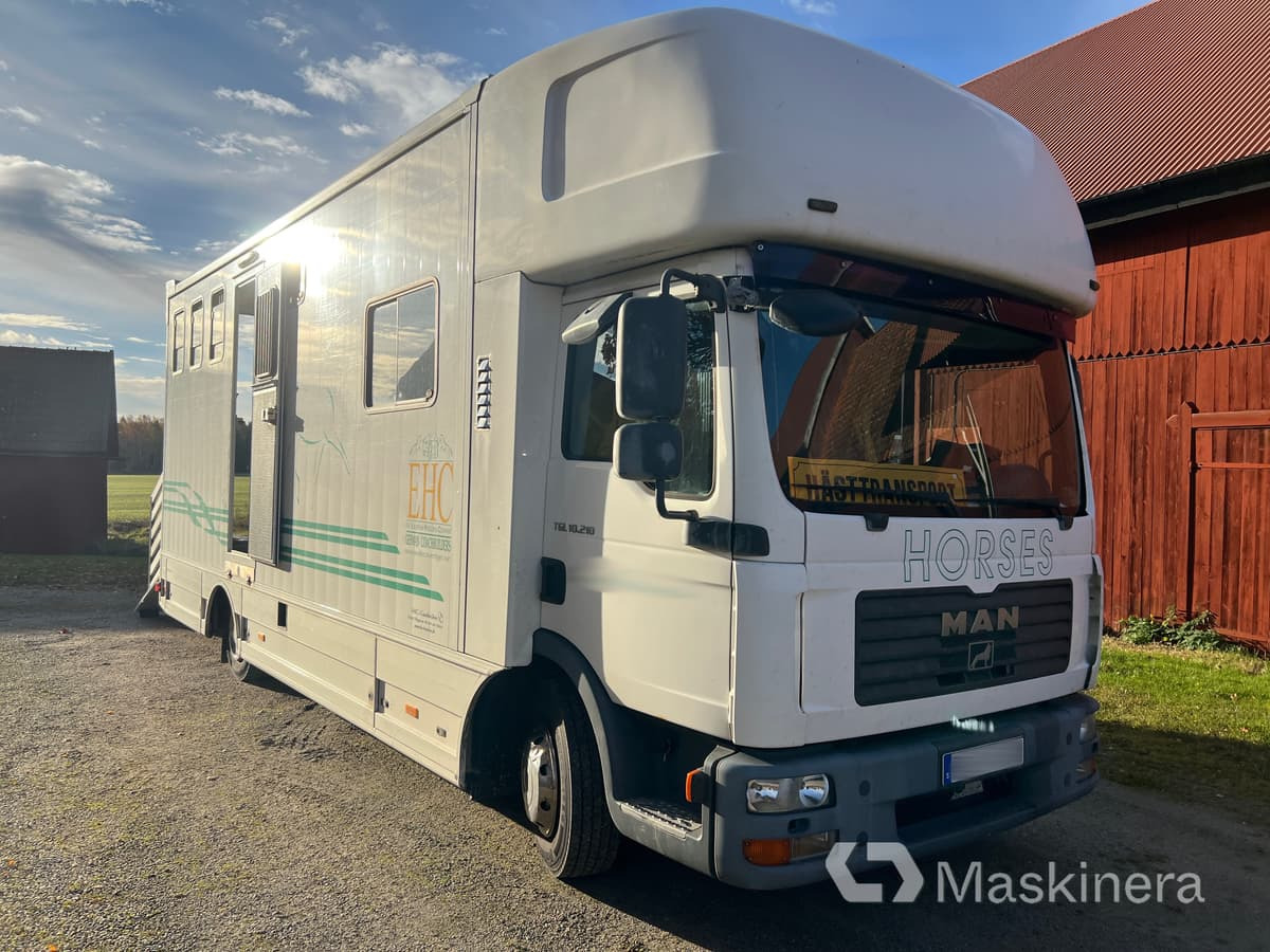 Hästlastbil MAN TGL 10.210 4X2 BL - Camion chevaux: photos 3 Hästlastbil MAN TGL 10.210 4X2 BL - Camion chevaux: photos 3