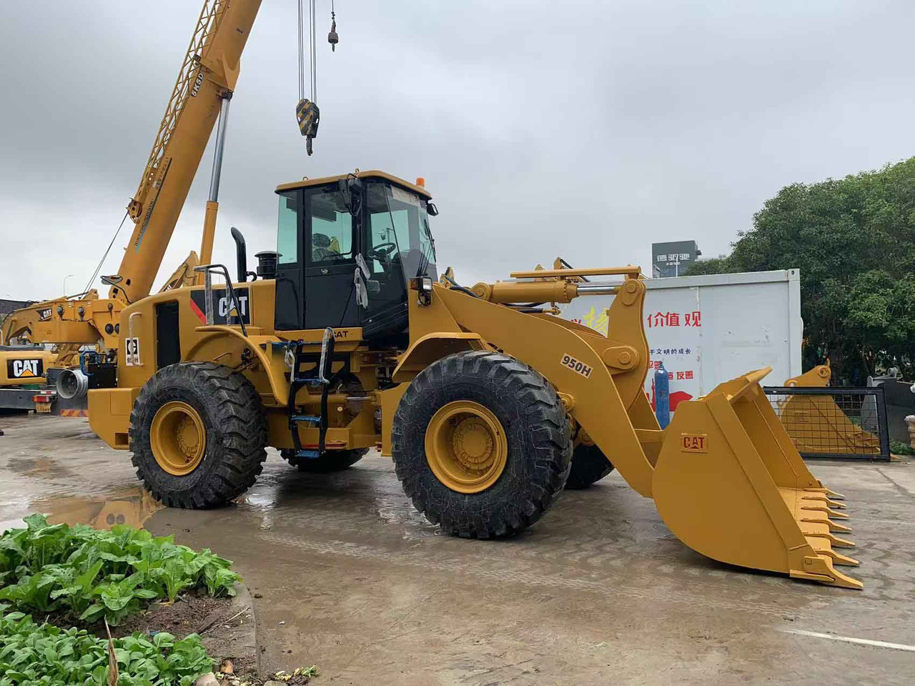 Caterpillar Wheel Loader CAT 950H, 950G Secondhand Condition - Chargeuse sur pneus: photos 2 Caterpillar Wheel Loader CAT 950H, 950G Secondhand Condition - Chargeuse sur pneus: photos 2