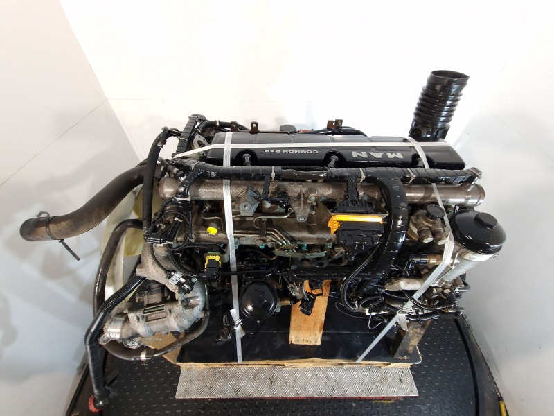 Moteur pour Camion MAN  D0836 LFL79 Engine (Truck): photos 10