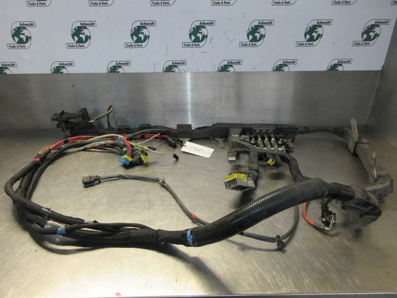 DAF 2117743 KABELBOOM DAF MX 11 U 4 MOTOR EURO 6 - Moteur et pièces pour Camion: photos 3 DAF 2117743 KABELBOOM DAF MX 11 U 4 MOTOR EURO 6 - Moteur et pièces pour Camion: photos 3