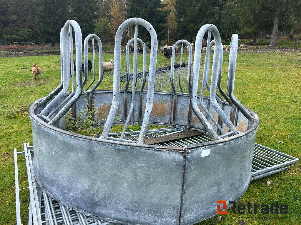 Forings binge - Matériel d'élevage: photos 1 Forings binge - Matériel d'élevage: photos 1