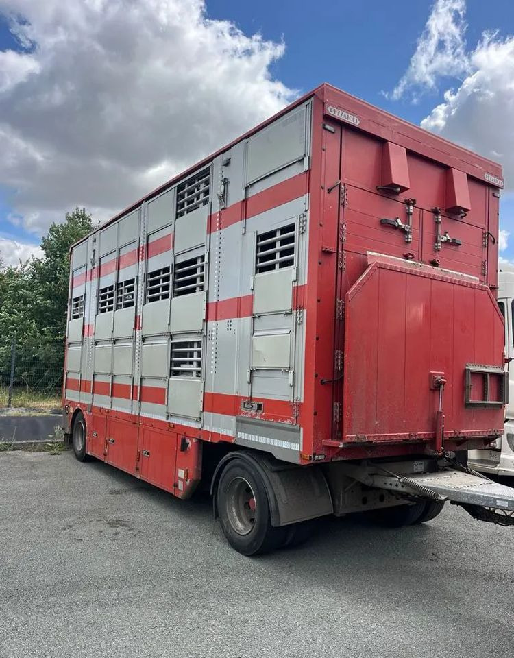 DAF XF 530 + Przyczepa Pezzaoli - 3X Trzoda, 2 X Bydło I 3 poziomy I Podnoszony dach I Hydroburta I Osie Skrętne I Poidła I Wentylatory I Pilot Manualny | - Camion bétaillère: photos 4 DAF XF 530 + Przyczepa Pezzaoli - 3X Trzoda, 2 X Bydło I 3 poziomy I Podnoszony dach I Hydroburta I Osie Skrętne I Poidła I Wentylatory I Pilot Manualny | - Camion bétaillère: photos 4