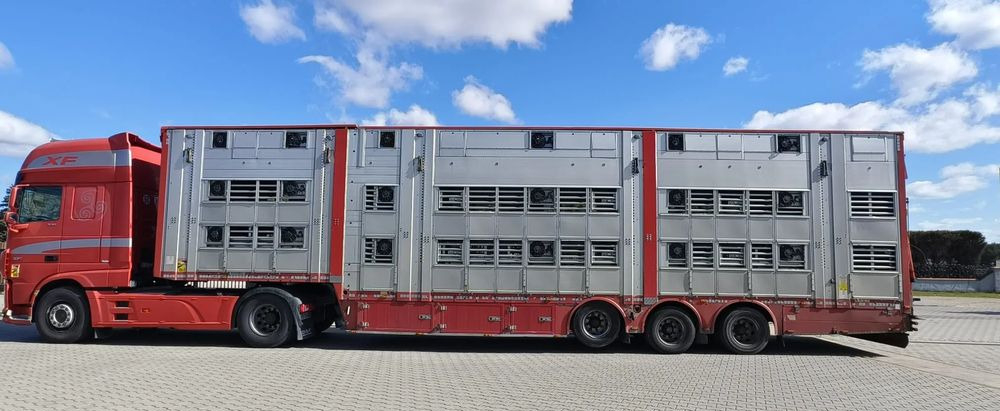 Pezzaioli SBA32/hydrauliczny dach/hydrauliczna rampa/ 3 poziomy/ 2xbydło -3xtrzoda/wentylatory/poidła/sterowanie pilotem - Semi-remorque bétaillère: photos 3 Pezzaioli SBA32/hydrauliczny dach/hydrauliczna rampa/ 3 poziomy/ 2xbydło -3xtrzoda/wentylatory/poidła/sterowanie pilotem - Semi-remorque bétaillère: photos 3