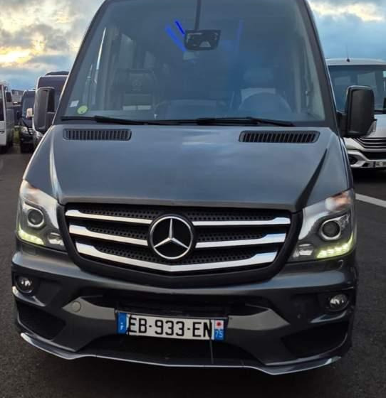 Mercedes-Benz SPRINTER 516 BLUETEC / SPROWADZONY / 86 000 KM - Minibus, Transport de personnes: photos 2 Mercedes-Benz SPRINTER 516 BLUETEC / SPROWADZONY / 86 000 KM - Minibus, Transport de personnes: photos 2