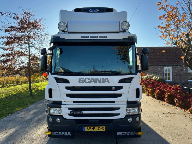Scania P280 / NL TRUCK / EURO 6 / FULL AIR / CARRIER SUPRA 1250 / TOPCONDITION / LIFT+DOORS - Camion frigorifique: photos 2 Scania P280 / NL TRUCK / EURO 6 / FULL AIR / CARRIER SUPRA 1250 / TOPCONDITION / LIFT+DOORS - Camion frigorifique: photos 2