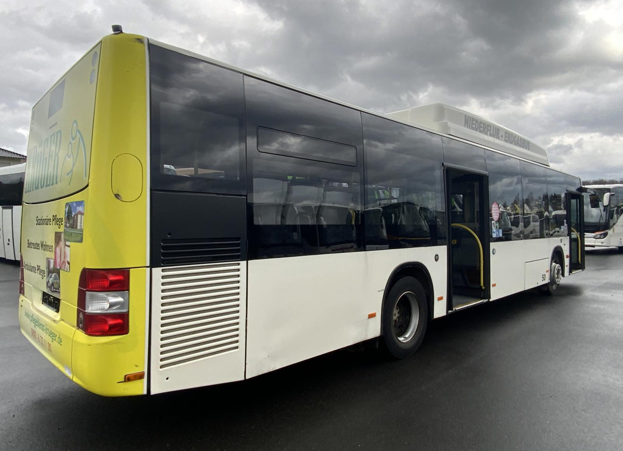 MAN A 21 Lion´s City - Bus urbain: photos 4 MAN A 21 Lion´s City - Bus urbain: photos 4