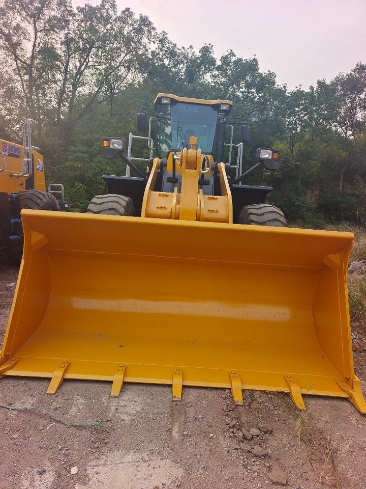 SDLG 956F - Pelle sur chenille: photos 4 SDLG 956F - Pelle sur chenille: photos 4