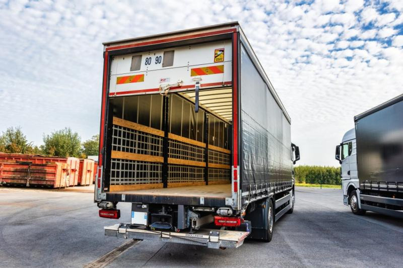 Camion à rideaux coulissants MAN TGX 18.400 XLX+HAYON: photos 6
