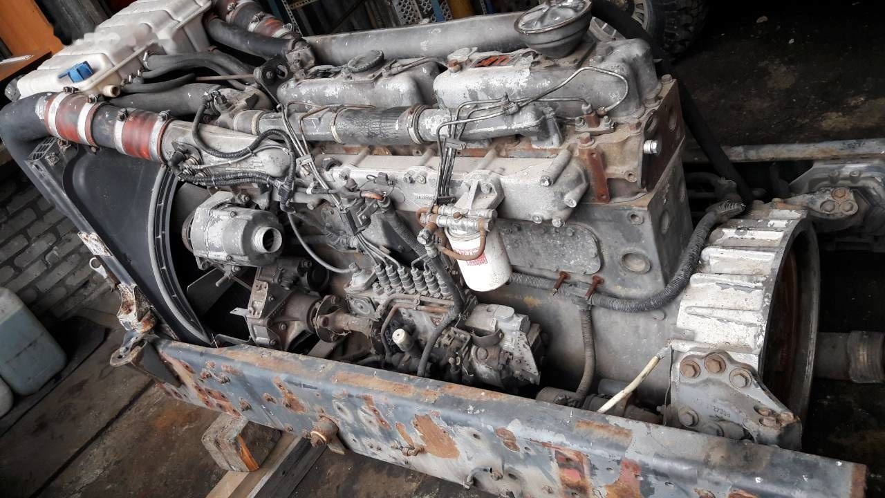 DAF WS268G DAF 95 85 - Moteur pour Camion: photos 3 DAF WS268G DAF 95 85 - Moteur pour Camion: photos 3