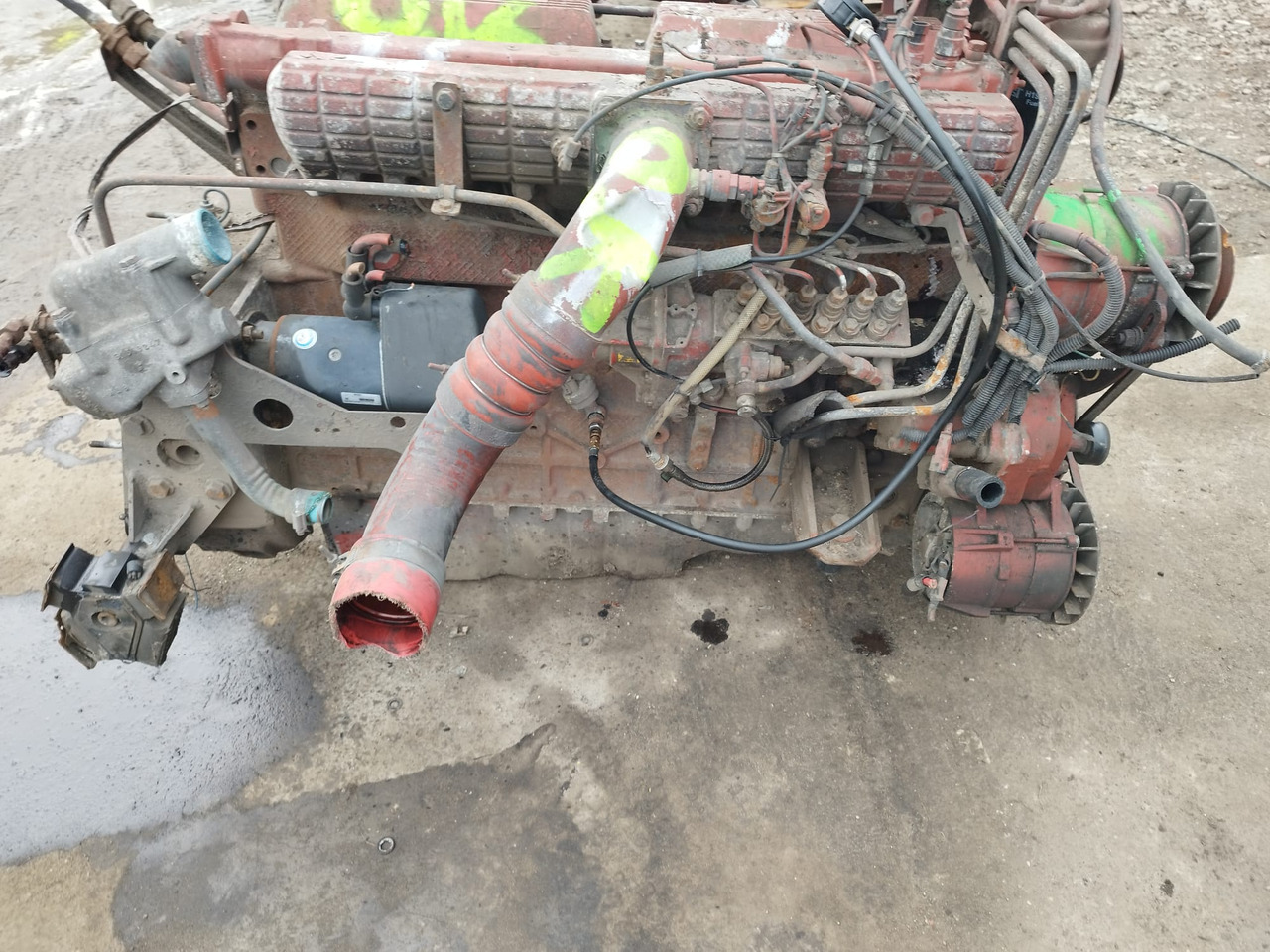 IVECO 8460.41M.70 IVECO MAGIRUS, FIAT, UNIC - Moteur pour Bus: photos 2 IVECO 8460.41M.70 IVECO MAGIRUS, FIAT, UNIC - Moteur pour Bus: photos 2