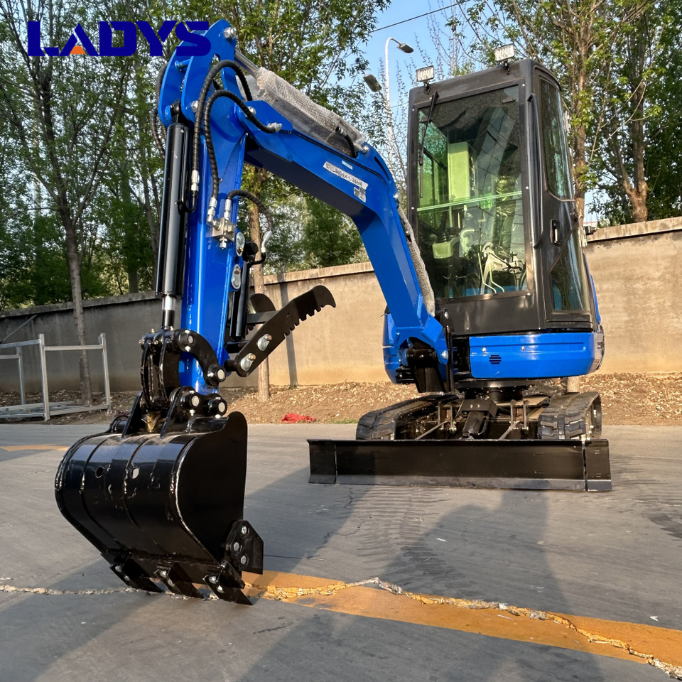 LADYS DY25U Mini Excavator CE Certification Kubota Engine(Factory Outlet) Mini Pelle Minibagger Minikoparka Miniexcavadora - Mini pelle: photos 3 LADYS DY25U Mini Excavator CE Certification Kubota Engine(Factory Outlet) Mini Pelle Minibagger Minikoparka Miniexcavadora - Mini pelle: photos 3