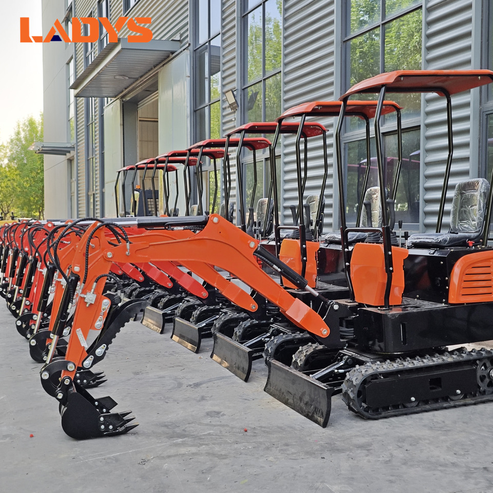 LADYS Mini Excavator CE Certification Kubota Engine(Factory Outlet) Mini Pelle Minibagger Minikoparka Miniexcavadora - Mini pelle: photos 1 LADYS Mini Excavator CE Certification Kubota Engine(Factory Outlet) Mini Pelle Minibagger Minikoparka Miniexcavadora - Mini pelle: photos 1