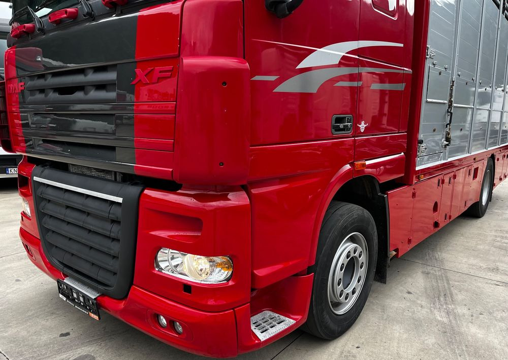 DAF XF 105.460 Euro 5 // Manual // Retarder // Do Żywca / Bydła / Zwierząt / - Autre matériel: photos 4 DAF XF 105.460 Euro 5 // Manual // Retarder // Do Żywca / Bydła / Zwierząt / - Autre matériel: photos 4