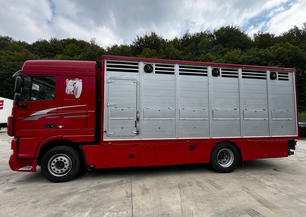 DAF XF 105.460 Euro 5 // Manual // Retarder // Do Żywca / Bydła / Zwierząt / - Autre matériel: photos 5 DAF XF 105.460 Euro 5 // Manual // Retarder // Do Żywca / Bydła / Zwierząt / - Autre matériel: photos 5