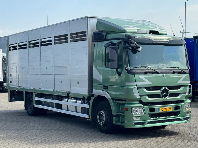 Mercedes-Benz Actros 1832 L 1 - 2 Stock Animal Transport - Camion bétaillère: photos 2 Mercedes-Benz Actros 1832 L 1 - 2 Stock Animal Transport - Camion bétaillère: photos 2