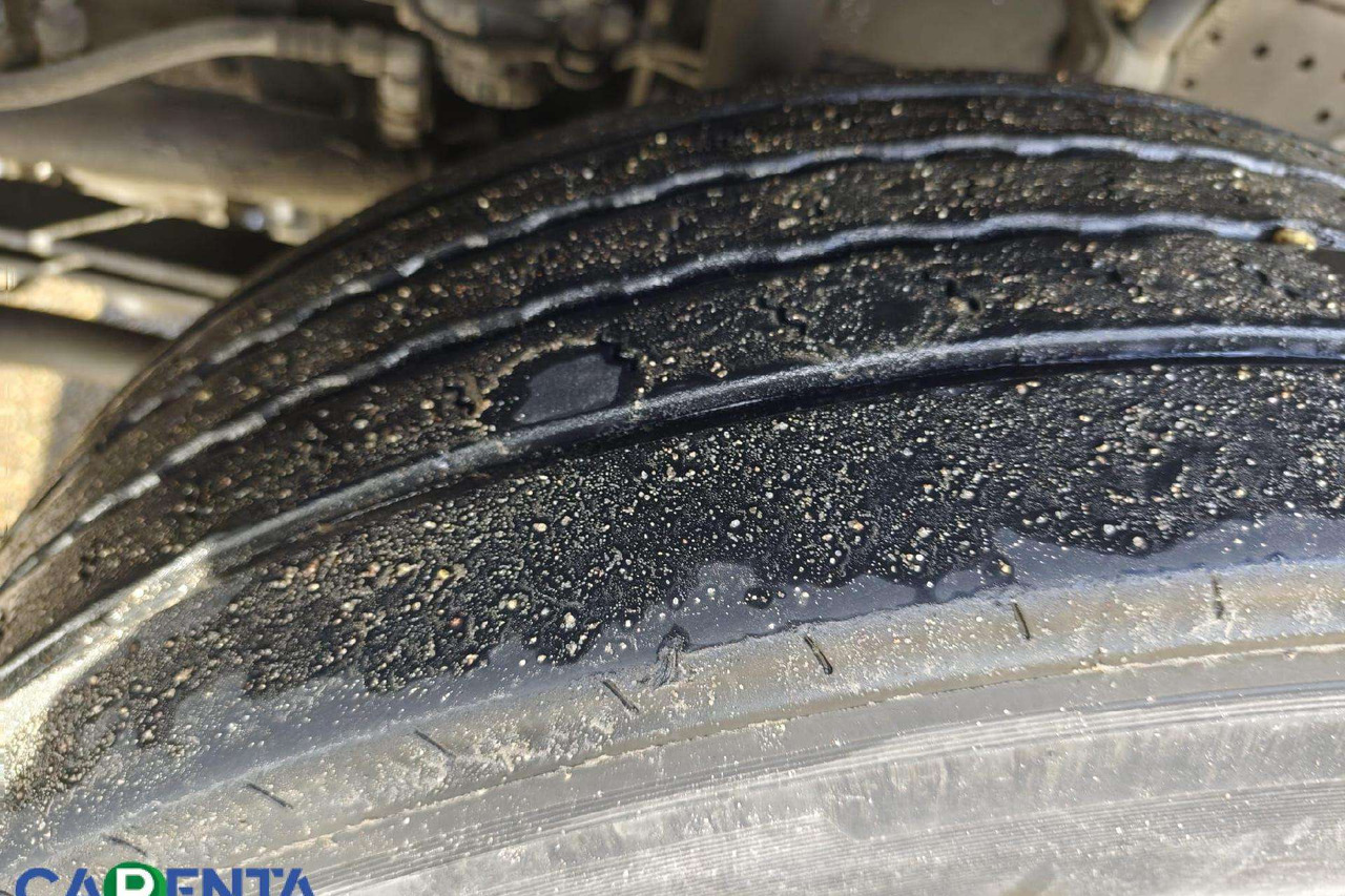 Camion frigorifique MAN TGS: photos 15