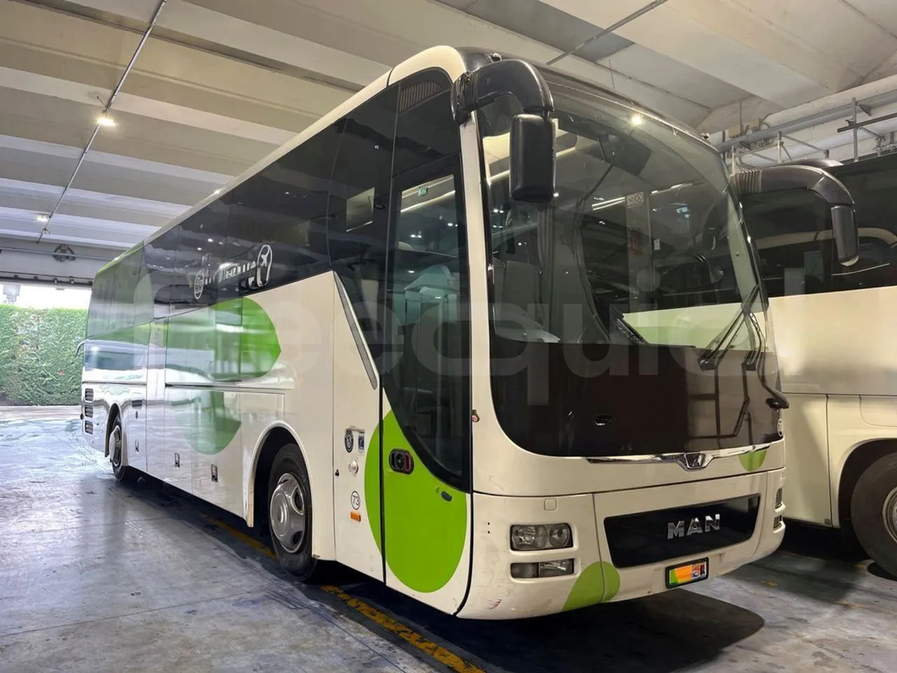 Man Lion's Coach - Autocar: photos 1 Man Lion's Coach - Autocar: photos 1