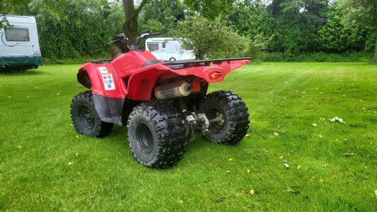 Yamaha Grizzly 300 - Quadricycle: photos 3 Yamaha Grizzly 300 - Quadricycle: photos 3