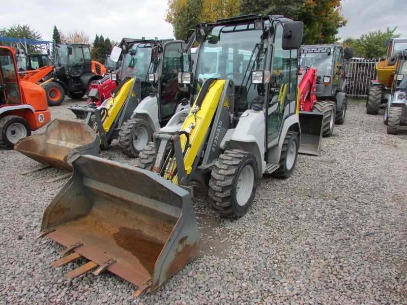 Kramer 5035 Radlader 25.500 EUR - Chargeuse sur pneus: photos 2 Kramer 5035 Radlader 25.500 EUR - Chargeuse sur pneus: photos 2