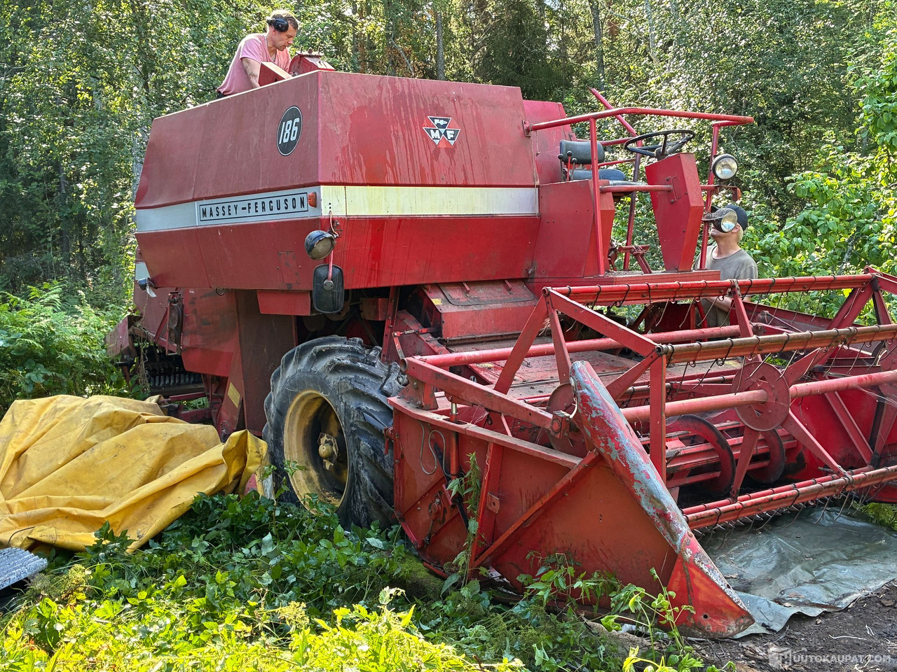 Massey Ferguson 186 Leikkuupuimuri, Kangasala - Machine agricole: photos 3 Massey Ferguson 186 Leikkuupuimuri, Kangasala - Machine agricole: photos 3