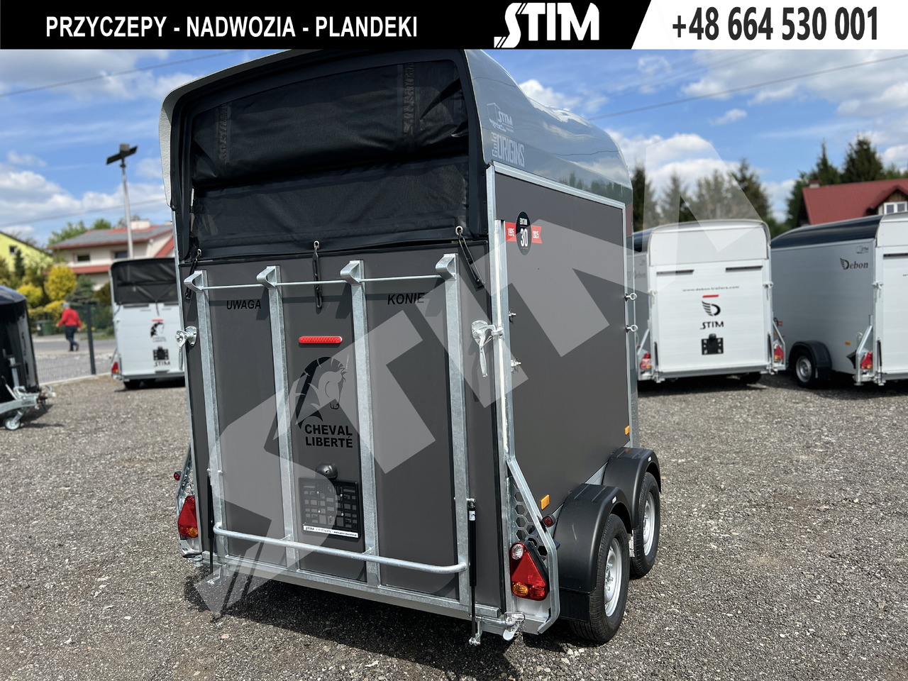 Cheval Liberté GOLD ORIGINS PODŁOGA ALU, BOKI SKLEJKA PPL - Van chevaux: photos 4 Cheval Liberté GOLD ORIGINS PODŁOGA ALU, BOKI SKLEJKA PPL - Van chevaux: photos 4