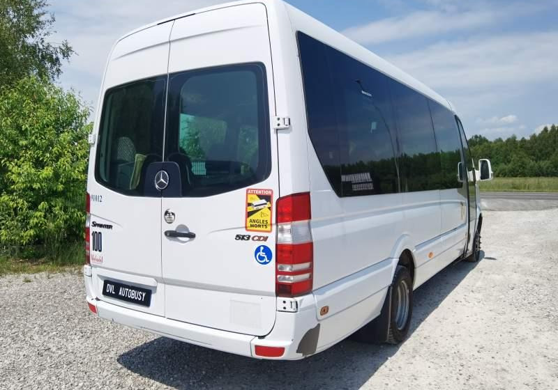 Bus interurbain Mercedes-Benz Sprinter *klima*webasto*: photos 15