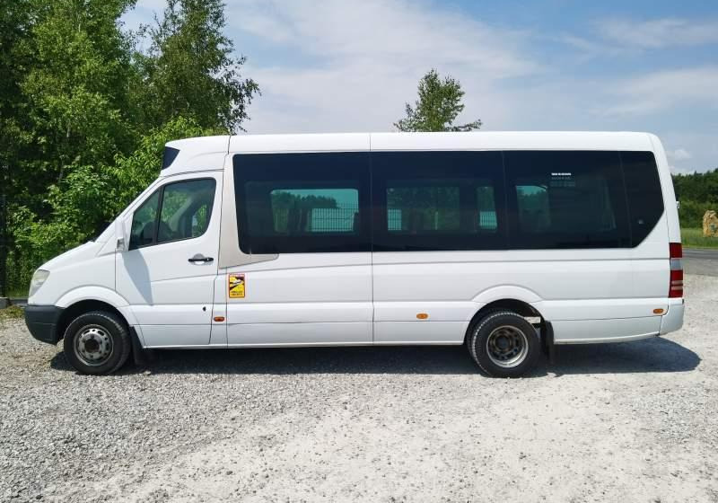 Bus interurbain Mercedes-Benz Sprinter *klima*webasto*: photos 11