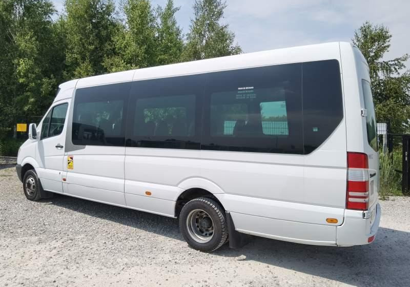Bus interurbain Mercedes-Benz Sprinter *klima*webasto*: photos 12